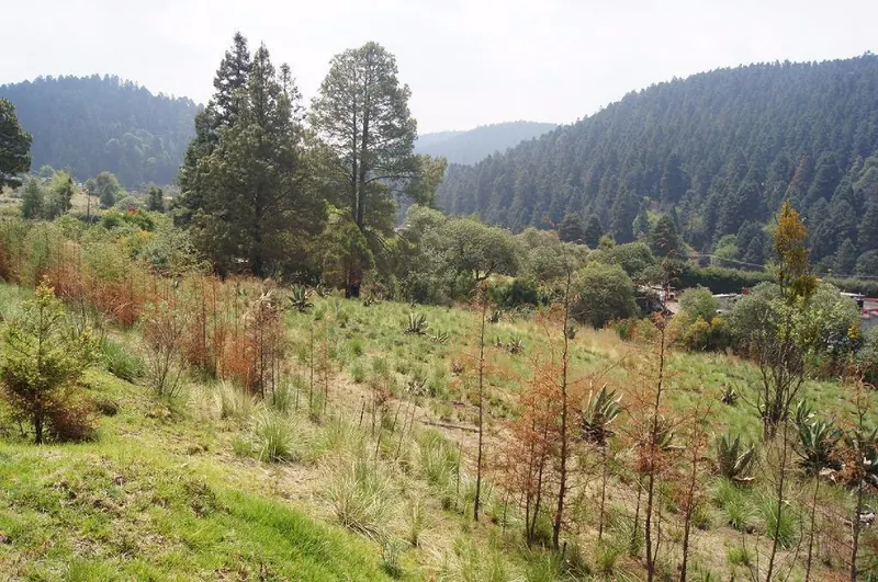 Cañada de Alferez Terreno en para Desarrollo Habitacional.