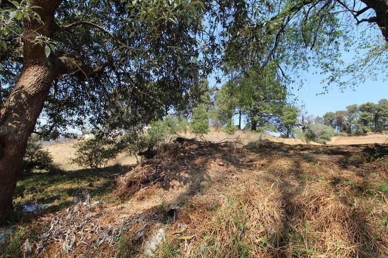Carretera Toluca Zona Encinos Terreno Desarrolladores